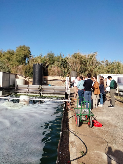 NIAGARA partners visiting the UAL’s microalgae installations